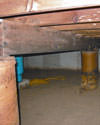 Mold and rot thriving in a dirt floor crawl space in Moncton