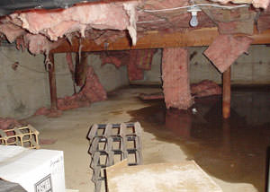 fiberglass insulation dripping off the ceiling of a crawl space in Riverview.