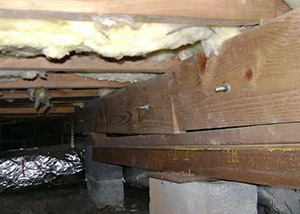 sagging crawl space with wooden shimming a Saint John crawl space