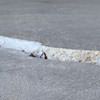 Slab floor cracks showing in a New Waterford home