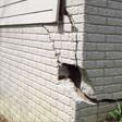 foundation walls cracked due to settlement in Moncton