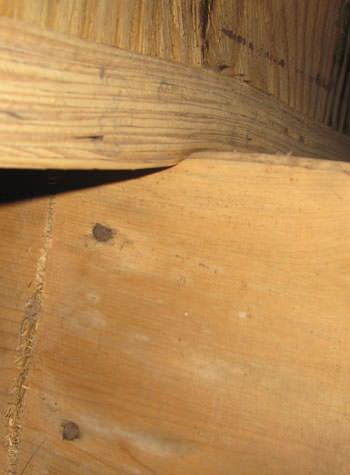 severe damage to a crawl space structure in a Riverview home