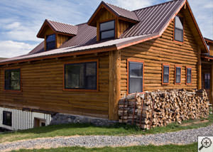 Termite-ridden firewood stacked alongside a home in Charlottetown