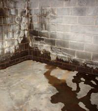Water seeping through a concrete wall in a Yarmouth basement