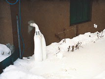 IceGuard® Installed Dartmouth